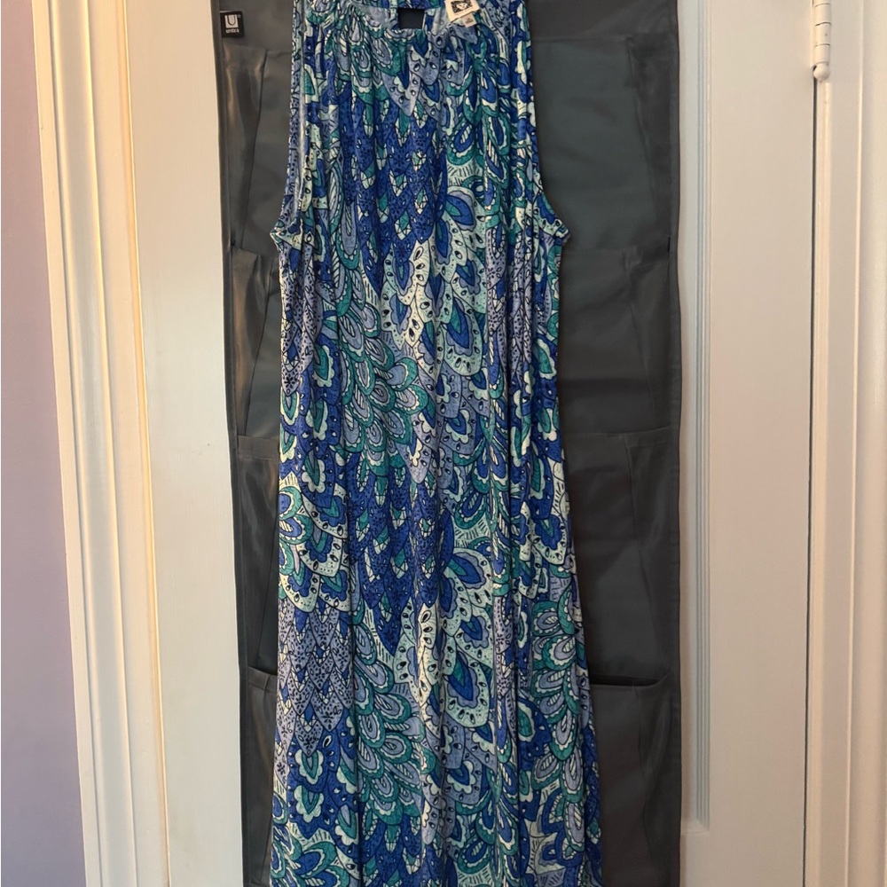 Anne Klein Blue and Green Paisley A-Line maxi dress